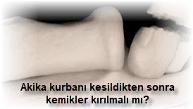 Akika kurbani kesildikten sonra kemikler kirilmali mi