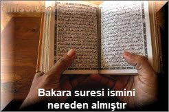 Bakara suresi ismini nereden almistir