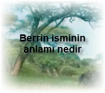 Berrin isminin anlami nedir