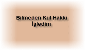 Bilmeden Kul Hakki Isledim