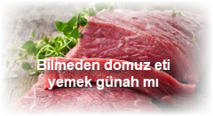 Bilmeden domuz eti yemek gunah mi