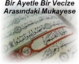 Bir Ayetle Bir Vecize Arasindaki Mukayese