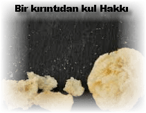 Bir kirintidan kul Hakki olur mu