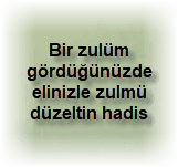 Bir zulum gordugunuzde elinizle zulmu duzeltin hadis