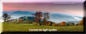 Cennet ile ilgili ayetler