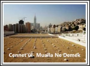 Cennetul Mualla Nedir