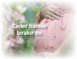 Cinler hamile birakir mi