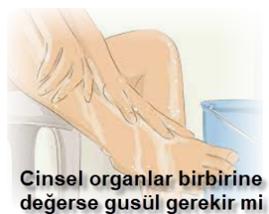 Cinsel organlar birbirine degerse gusul gerekir mi