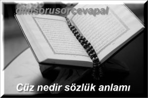 Cuz nedir sozluk anlami