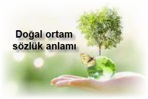 Dogal ortam sozluk anlami