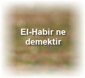 El Habir ne demektir