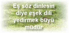 Es soz dinlesin diye esek dili yedirmek buyu mudur