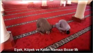 Esek Kopek ve Kadin Namazi Bozar Mi