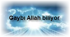 Gaybi Allah biliyor