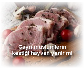 Gayri muslumlerin kestigi hayvan yenir mi