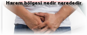 Harem bolgesi nedir nerededir