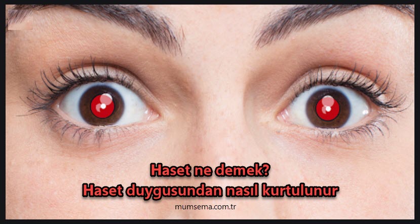 haset nedir