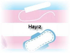 Hayiz