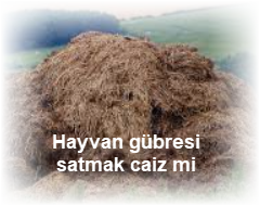 Hayvan gubresi satmak caiz mi