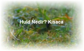 Huld Nedir Kisaca