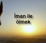 Iman ile olmek