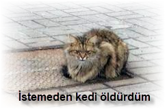 Istemeden kedi oldurdum