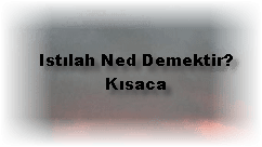 Istilah Ned Demektir Kisaca