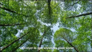 Iyi niyet ile ilgili soylenmis guzel sozler