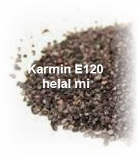 Karmin E120 helal mi