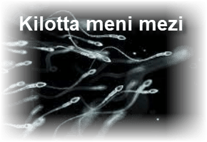 Kilotta meni mezi