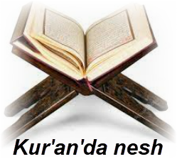 Kuranda nesh 1