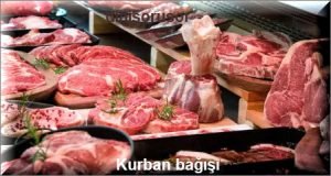 Kurban bagisi