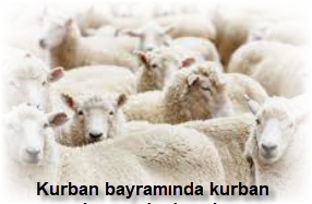 Kurban bayraminda kurban kesmeyi adamak