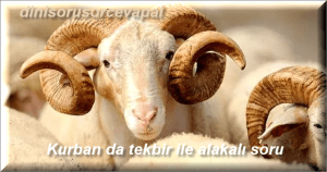 Kurban da tekbir ile alakali soru