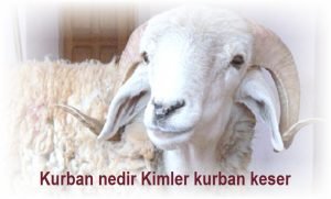 Kurban nedir Kimler kurban keser