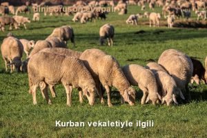 Kurban vekaletiyle ilgili