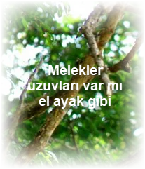 Melekler uzuvlari var mi el ayak gibi