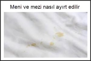 Meni ve mezi nasil ayirt edilir