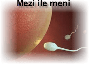 Mezi ile meni