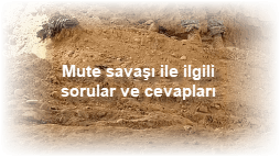 Mute savasi ile ilgili sorular ve cevaplari