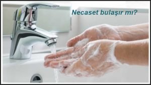 Necaset bulasir mi