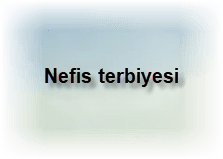 Nefis terbiyesi