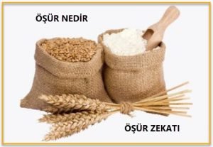 Osur nedir osur zekati