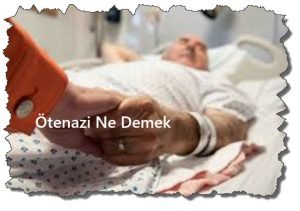 Otenazi Ne Demek