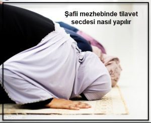 Safii mezhebinde tilavet secdesi nasil yapilir