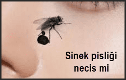 Sinek pisligi necis mi