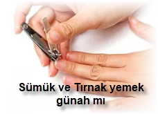 Sumuk ve Tirnak yemek gunah mi