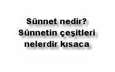 Sunnet nedir Sunnetin cesitleri nelerdir kisaca