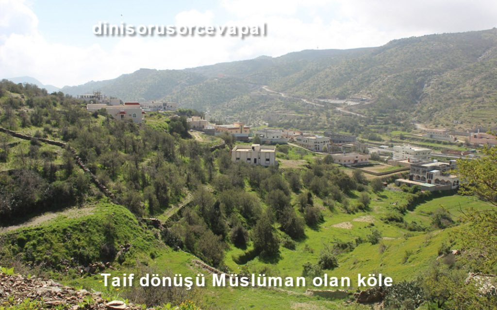 Taif donusu Musluman olan kole