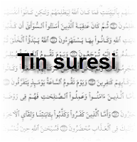 Tin suresi